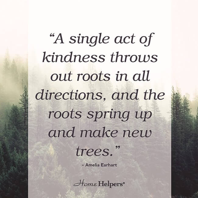 "A single act of kindness throws out roots in all directions, and the roots spring up and make new trees." Amelia Earheart quote